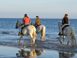 Promenade à cheval